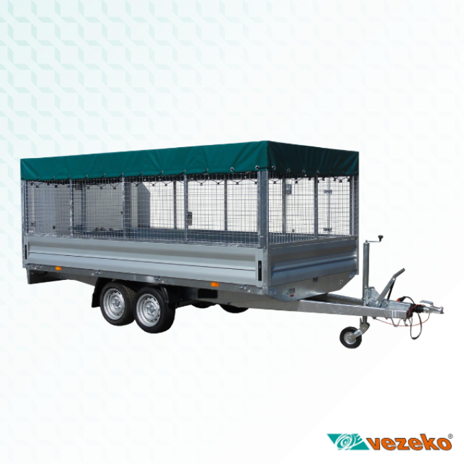 CARGO D_5.png